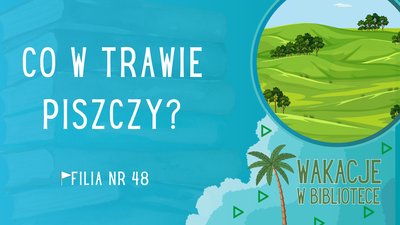Zdjęcie