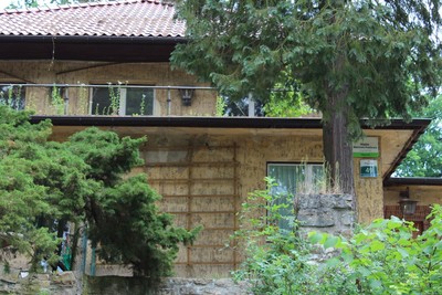 Zdjęcie
