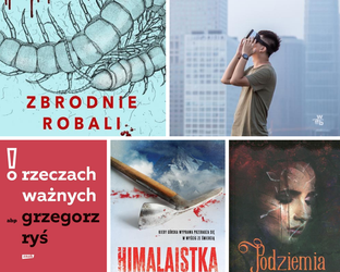 Zdjęcie