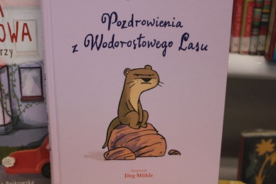 Zdjęcie