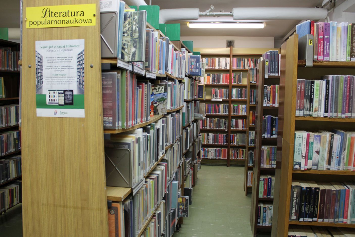 Półki biblioteczne z książkami